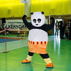 Соревнования по каратэ Киокусинкай 2014 